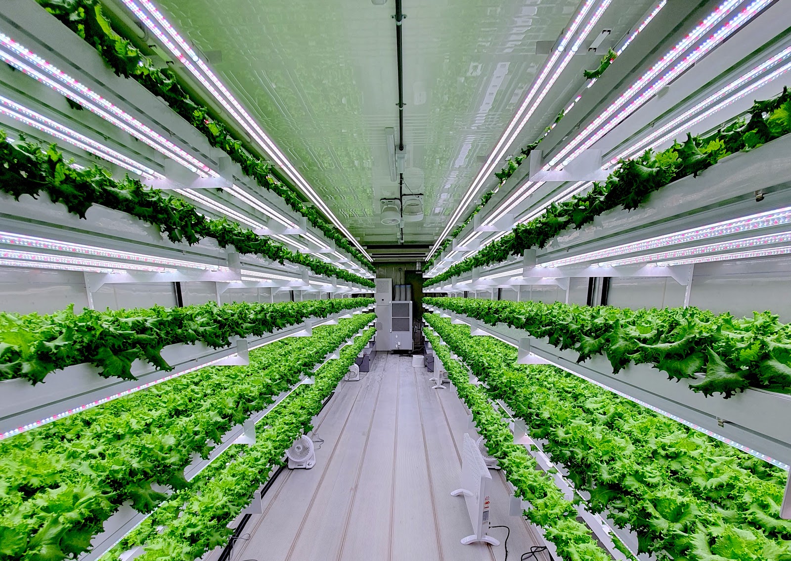 Image for Smart Acres Vertical Farming Company Set To Launch In UAE This 2020