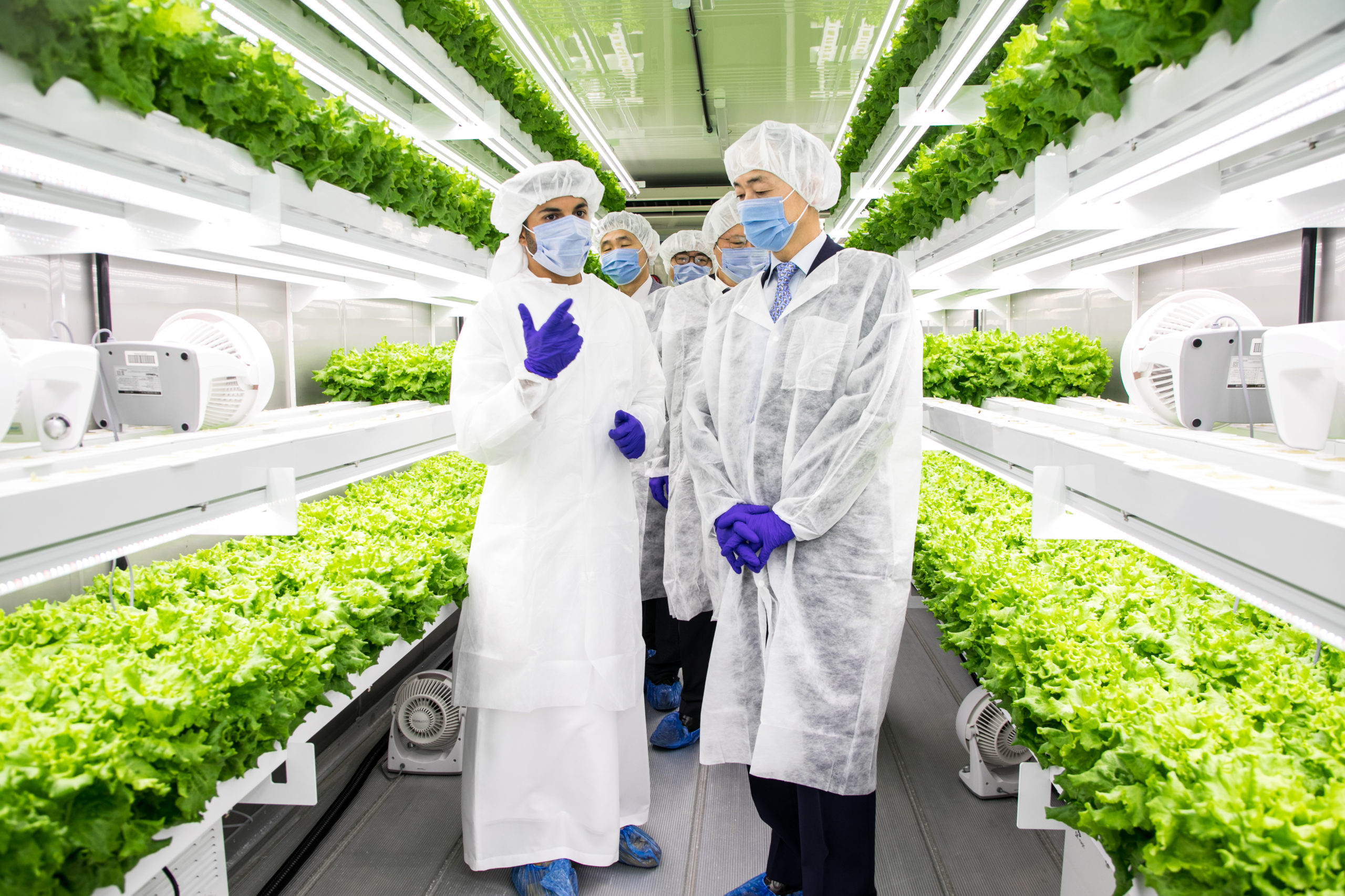 Image for UAE’s Newest Vertical Farm, Smart Acres, Successfully Launches, Propelling The UAE’s Agricultural Development