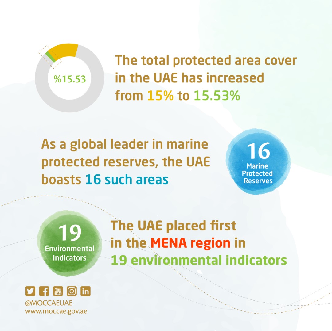 Image for UAE Tops Global 2020 Rankings In Eight Environmental Indicators