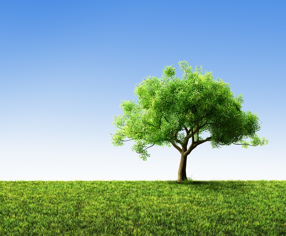 Image for Smart and healthy workplaces help to enhance employee happiness and productivity