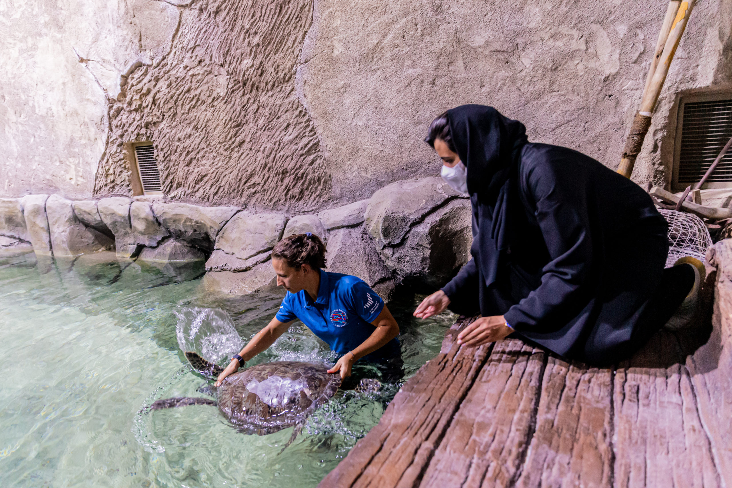 Image for The Environment Agency – Abu Dhabi And The National Aquarium Start Receiving And Rehabilitating Rescued Animals