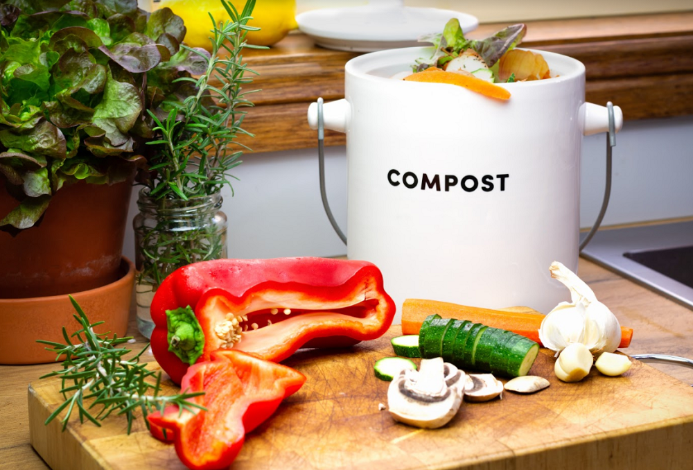 Image for How To Begin Living A Sustainable Lifestyle