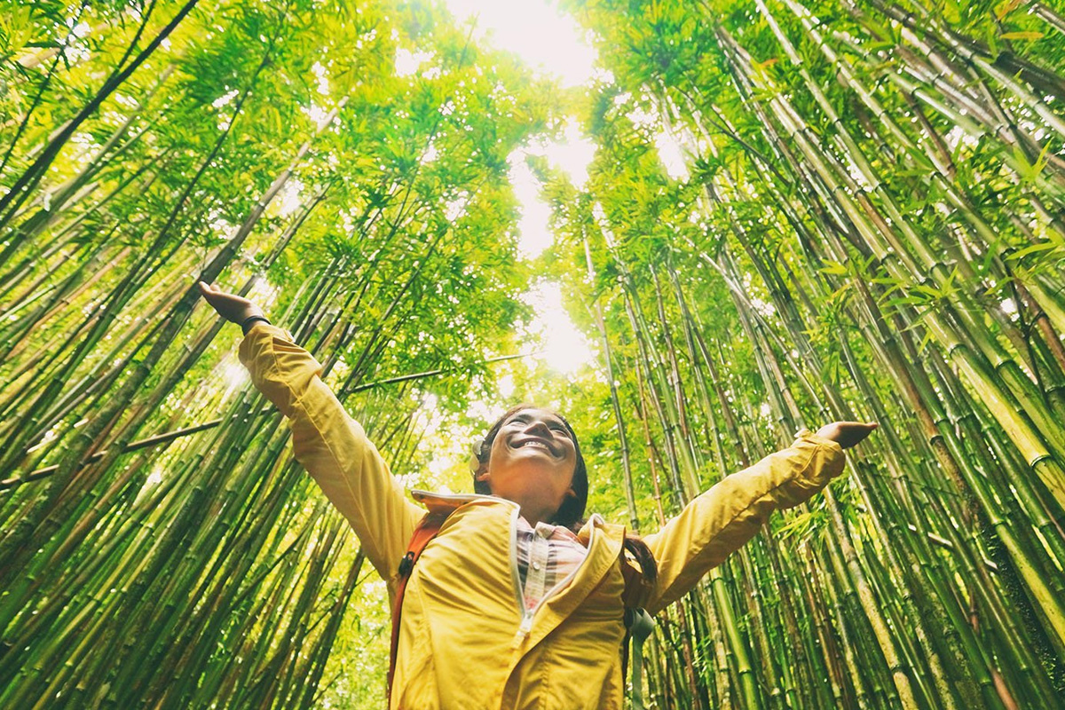 Image for Etihad ESCO partners with Vision Invest