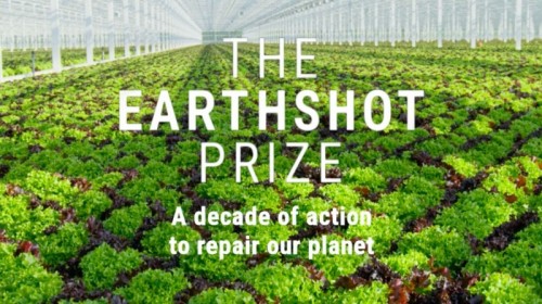 Image for DP World Joins Forces With Expo 2020 Dubai And Is Announced As A Founding Partner Of The Earthshot Prize