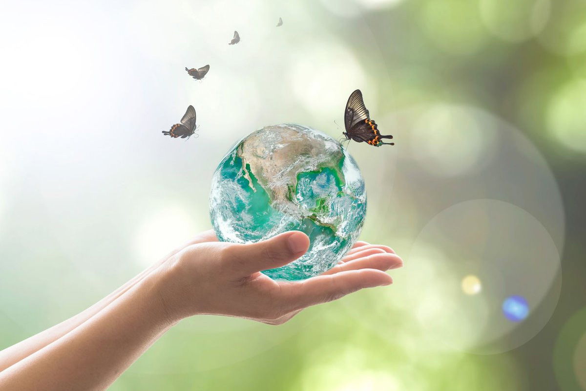 Image for International Rain Enhancement Forum Opens at Abu Dhabi Sustainability Week 2019