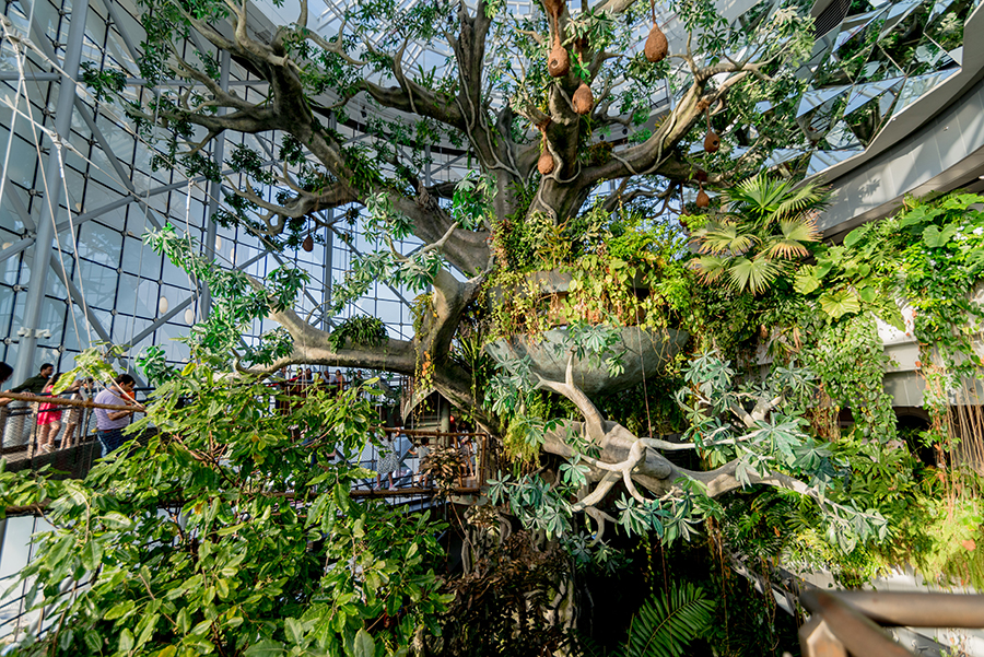 Image for The Green Planet Offer The Ultimate Eco Winter Camp For Kids Obsessed With Animals And Who Love Nature