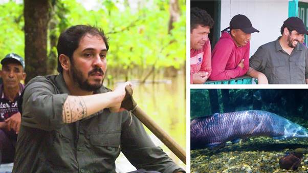 Image for Why Amazonians Are On A Mission To Save A River Giant