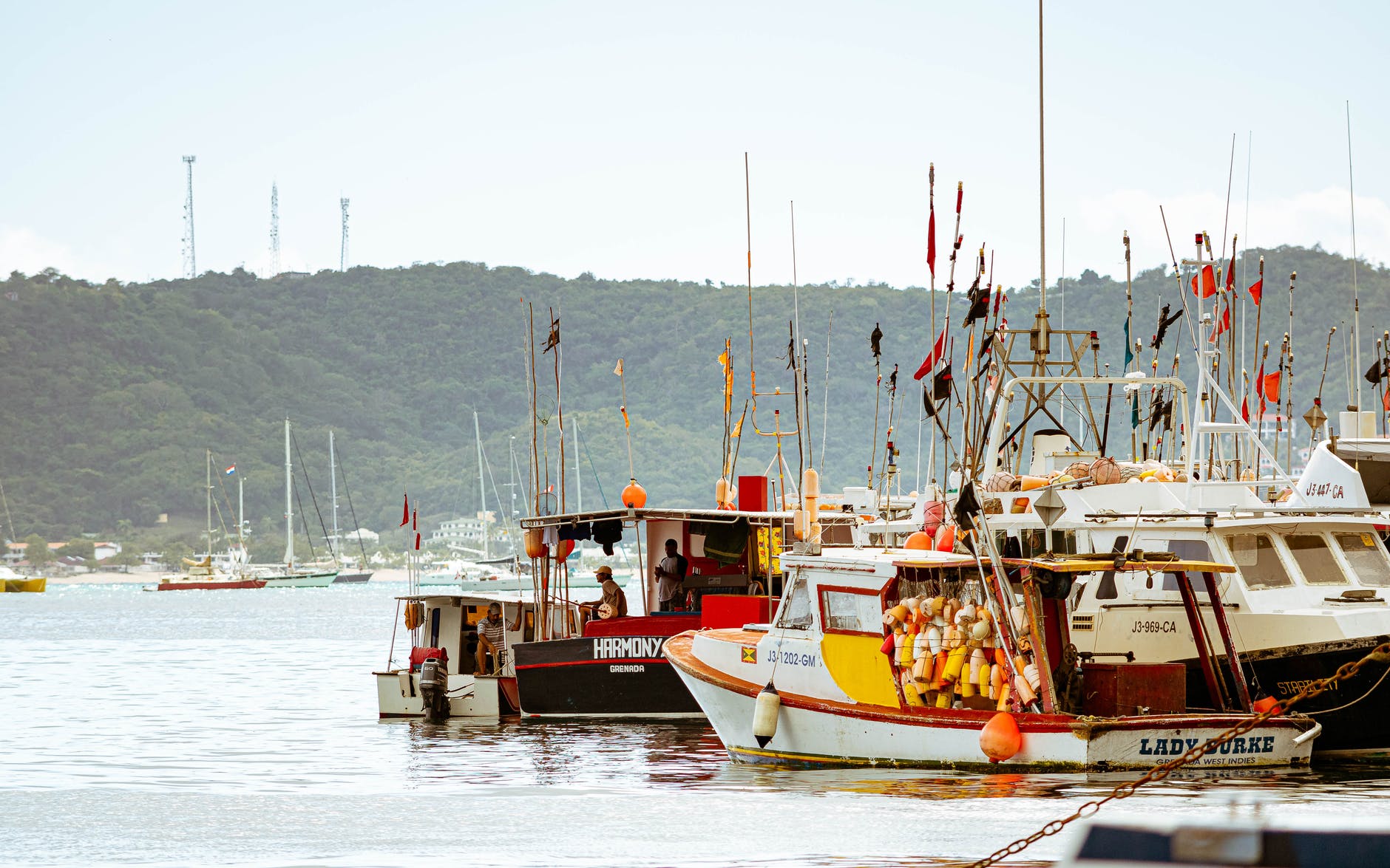 Image for Small Island Nations Like Grenada Were Hit Hard By The Pandemic – Soren Dawody’s Sustainable Aquaculture Projects Can Help Revive Them