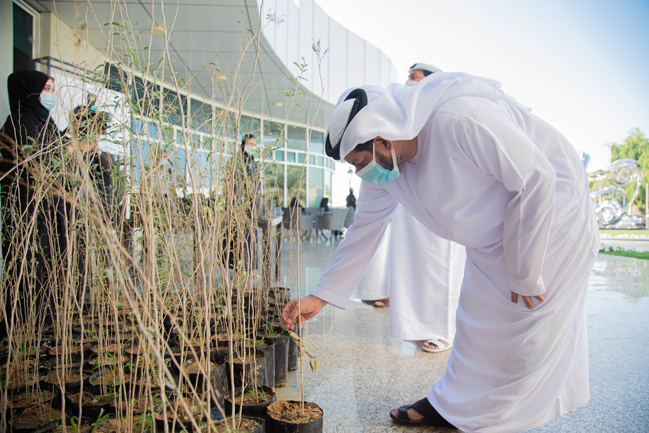 Image for The Environment And Protected Areas Authority Distributes 4,700 Seedlings To Government Departments And Residents Of The Emirate Of Sharjah