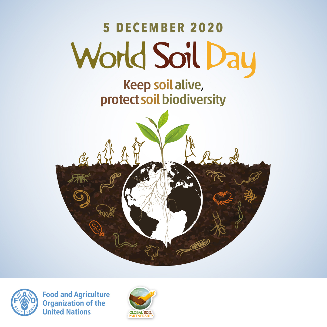 Image for Soil Organisms Play A Crucial Role In Boosting Food Production:FAO