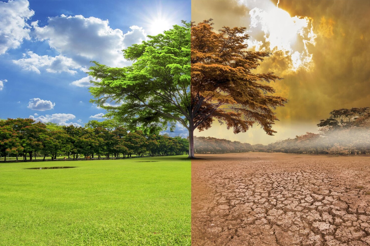 Image for MoCCAE Launches UAE Climate Change Research Network To advance Climate Data Collection