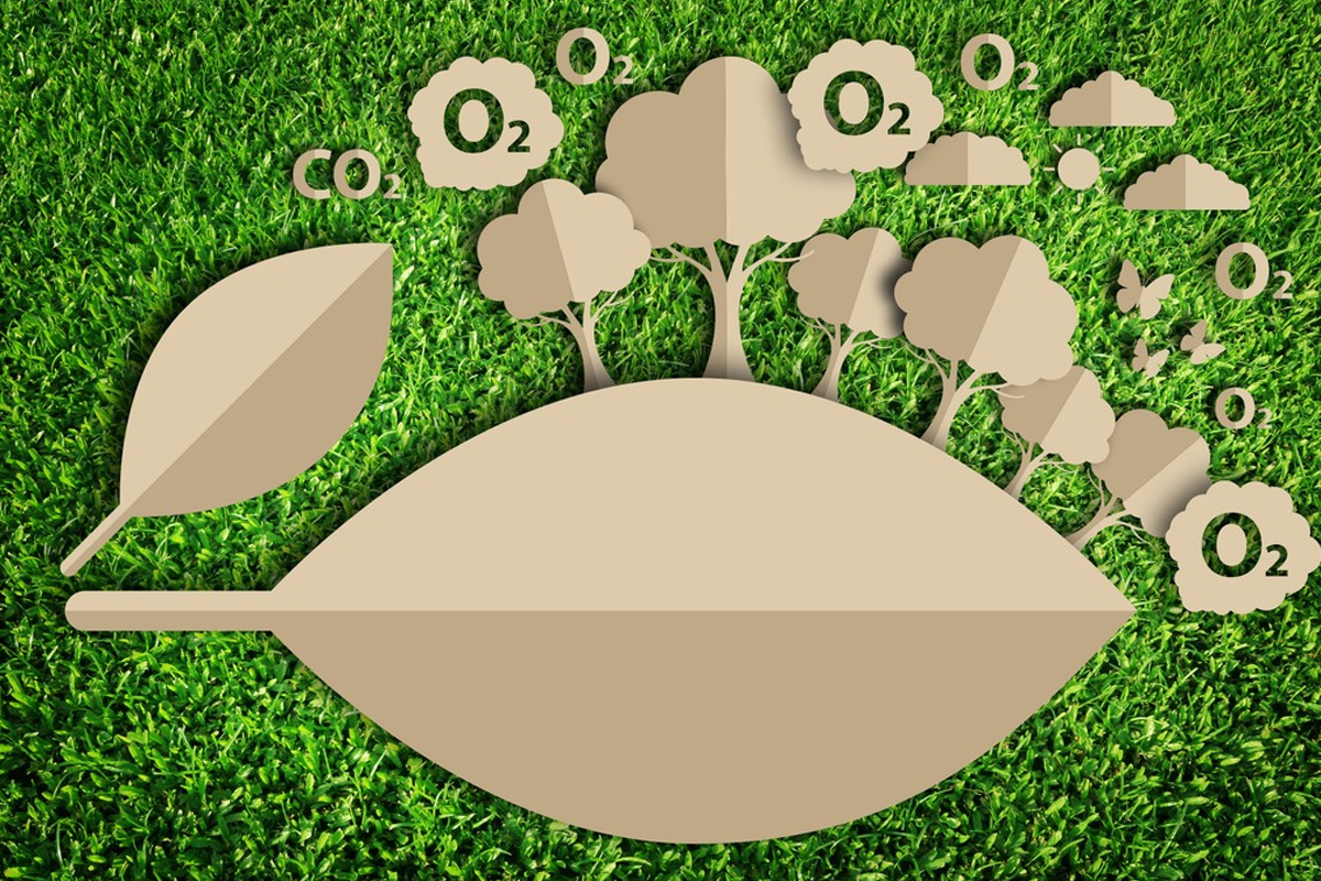 Image for Go Green With Cloud Computing