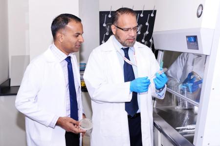 Image for Scientists identify new bacterial strain to clean water: UAEU scientists