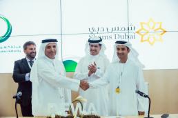 Image for UN approves Energy Efficiency Programme in the UAE