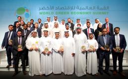 Image for EGA backs state of green energy report 2017