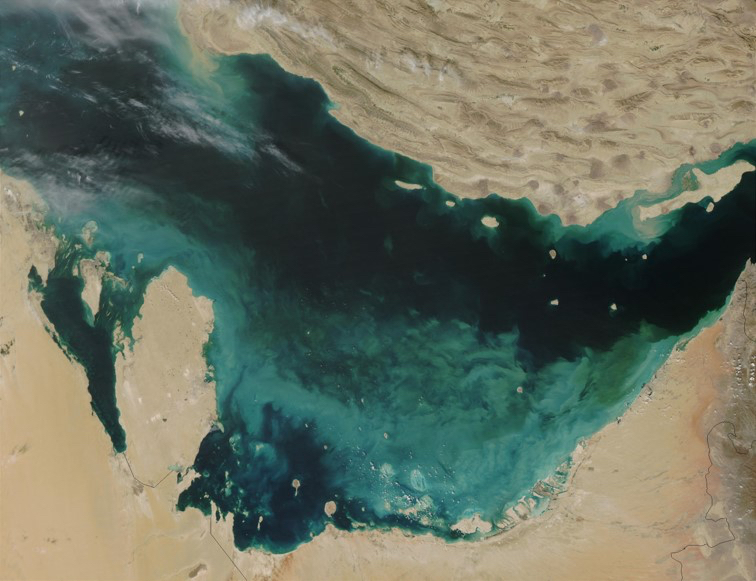 Image for NYU Abu Dhabi Scientists Uncover The Genomic Differences Of Marine And Freshwater Microalgae In A Large-Scale Sequencing Project