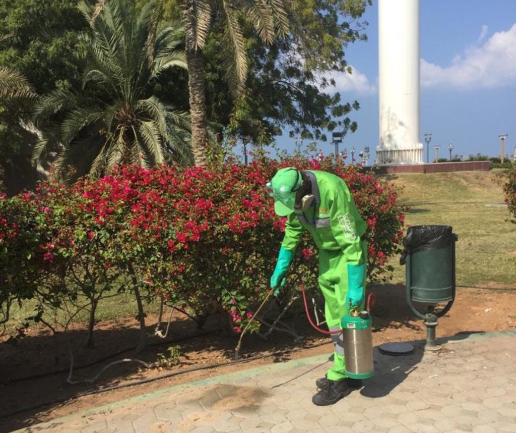 Image for Tadweer Delivers Positive Results From Intensive Environmental Awareness Drive In 2020