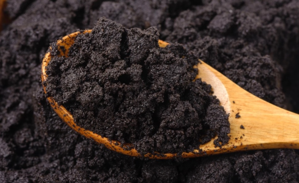 Image for United Arab Emirates University Researchers Use Coffee To Produce Biofuels