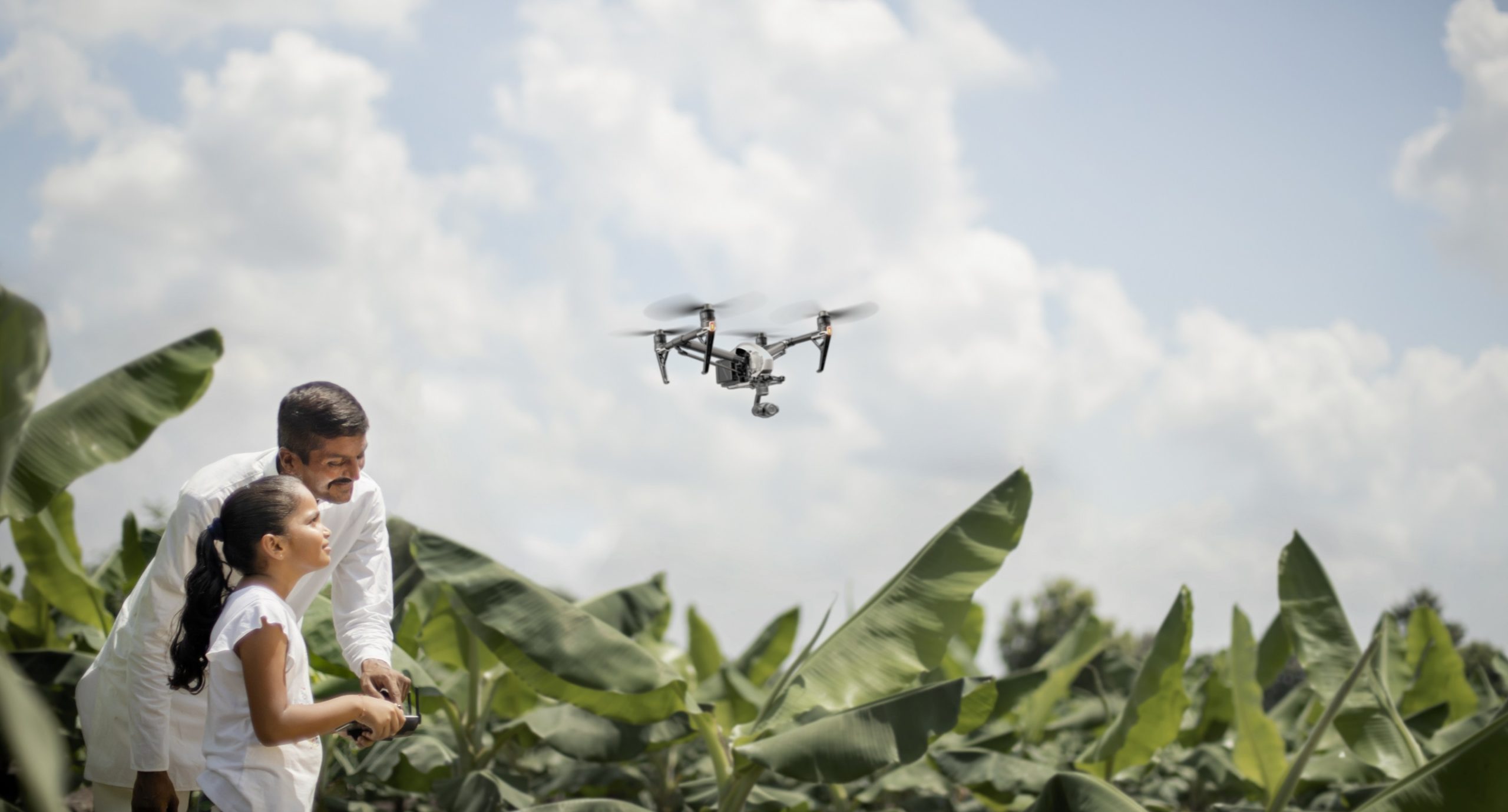 Image for Pioneering Ventures Becomes Innoterra, A Platform Company Transforming The Global Food Ecosystem