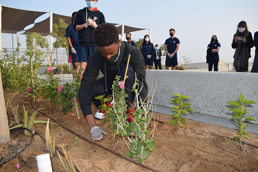 Image for Dwight School Dubai Students Create And Execute Sustainable Tree Planting Drive On Campus, Using Dake Rechsand’s Breathable Sand