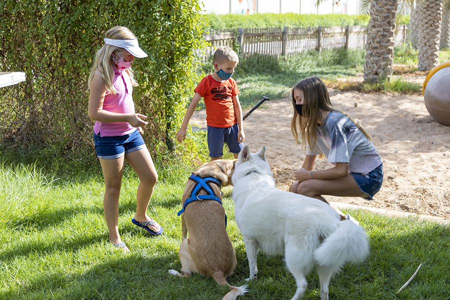 Image for The Sustainable City Is Hosting The First Of Its Kind Animal Welfare Pop-Up Market