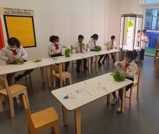 Image for Sustainable Futures School Program