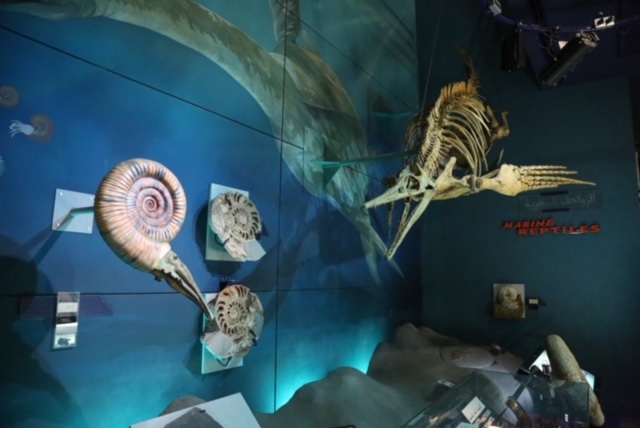 Image for The Environment And Protected Areas Authority In Sharjah Welcomes Over 66,000 Visitors To Its Centres Throughout January And February