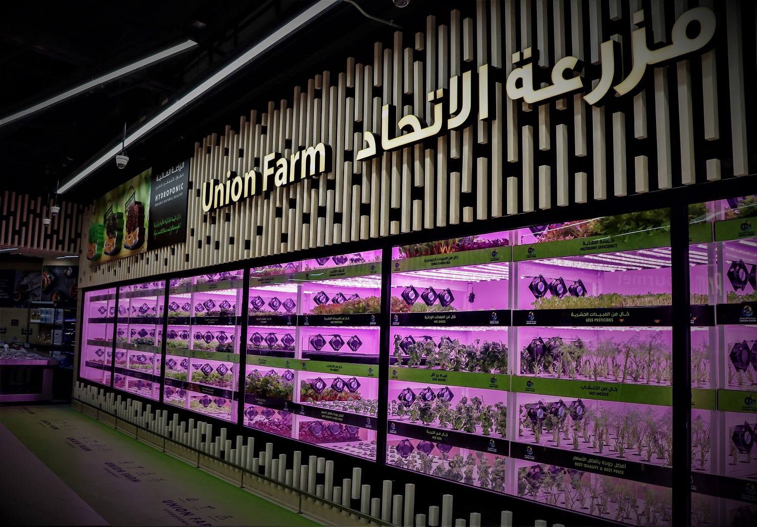 Image for Union Farm: Union Coop’s Latest In-House Organic Farming Concept Debuts At Al Warqa City Mall