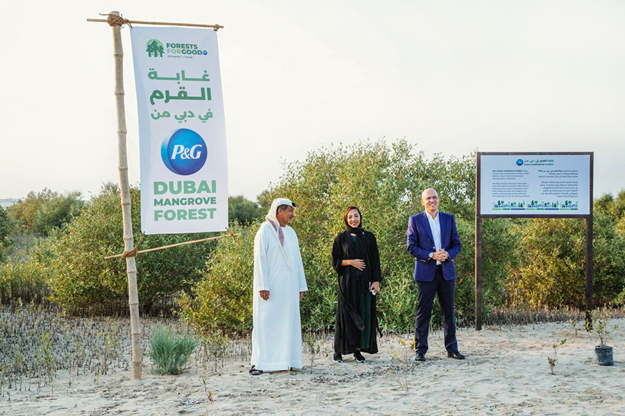 Image for Emirates Marine Environmental Group And Procter & Gamble Launch The P&G Dubai Mangrove Forest