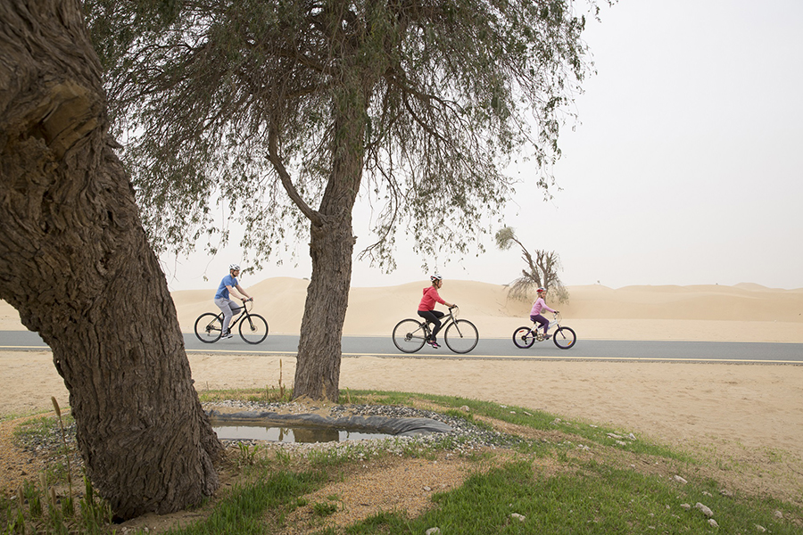 Image for Dubai Sustainable Tourism Launches ‘Get Into The Green Scene’ Initiative