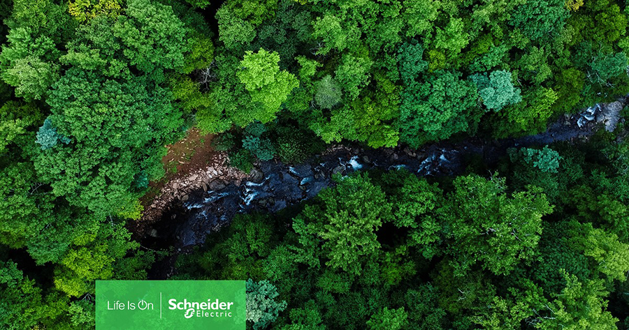 Image for Schneider Electric Details Pledge To Fight Global Biodiversity Loss