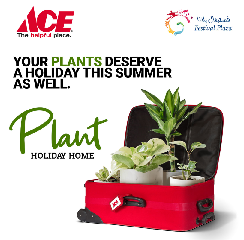 Treat Your Plants To A Summer Staycation At ACE s Plant Holiday Home 