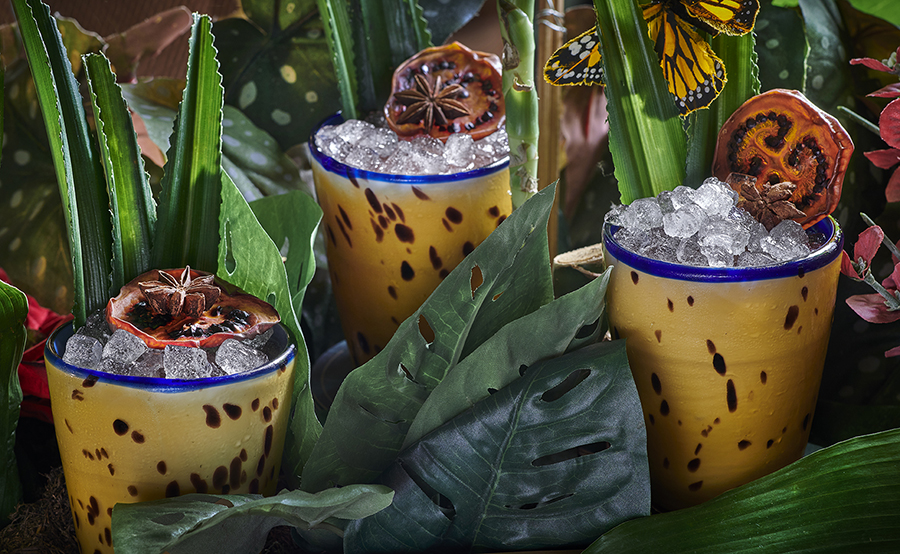 Image for Amazónico Commits To Tree Planting Campaign For World Rainforest Day