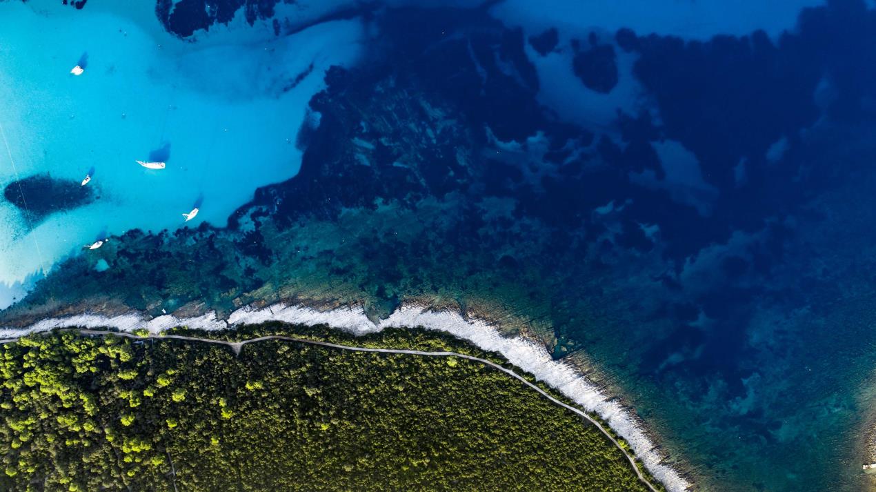 Image for Epson Announces Green Initiatives To Celebrate World Environment Day