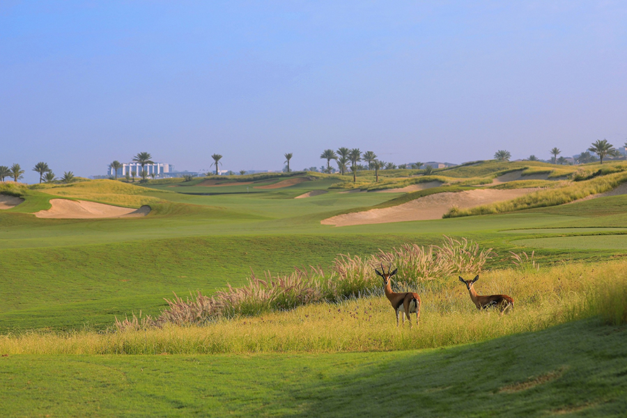 Image for Saadiyat Beach Golf Club Continues To Set New Standards For Sustainability Practices In The Region