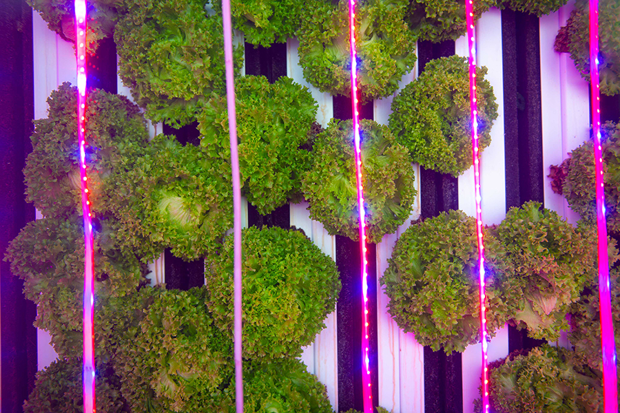 Image for Masdar City Attracts Global And Regional Innovation Giants Amid Focus On Global Green Recovery From COVID-19