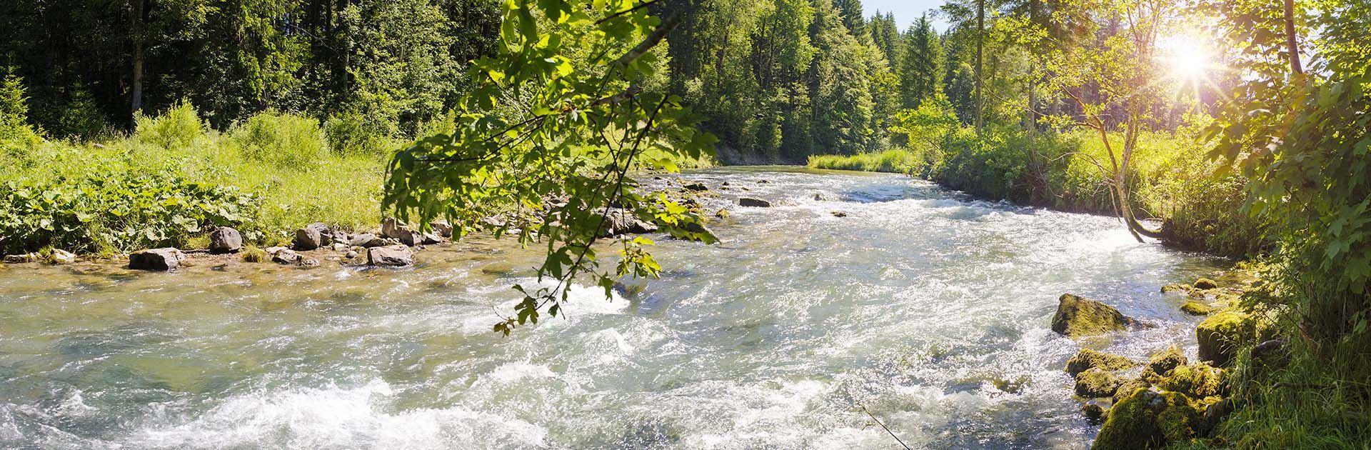 Image for Nestlé Waters Targets Positive Water Impact By Regenerating Local Water Cycles