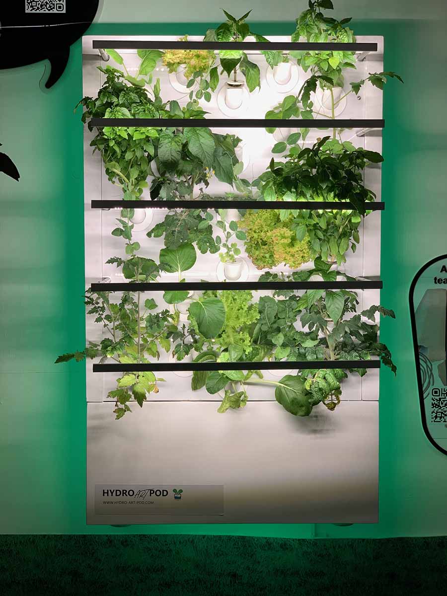 Image for How’s It Growing? Masdar City Developed ‘Smart Garden’ Teaches Kids About Homegrown Food