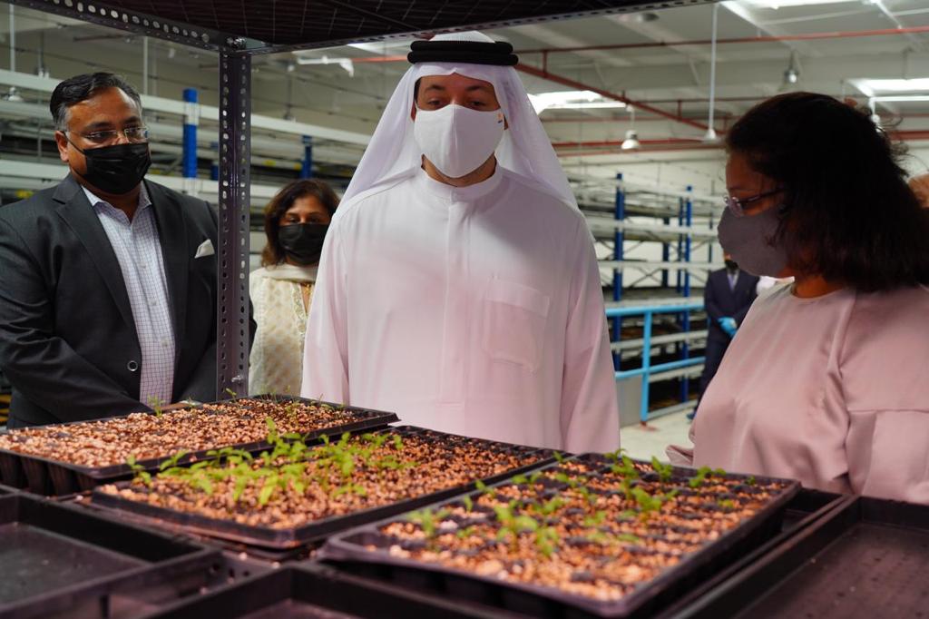 Image for Al AliyoHydroFarms Embarks On Hydroponic Fodder Project In Hamriyah Free Zone With Investments Worth AED9m