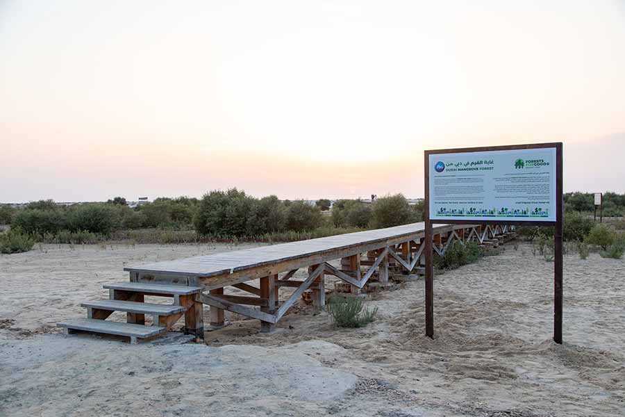 Image for P&G And Carrefour Join Together To Plant 26 Forests In The UAE