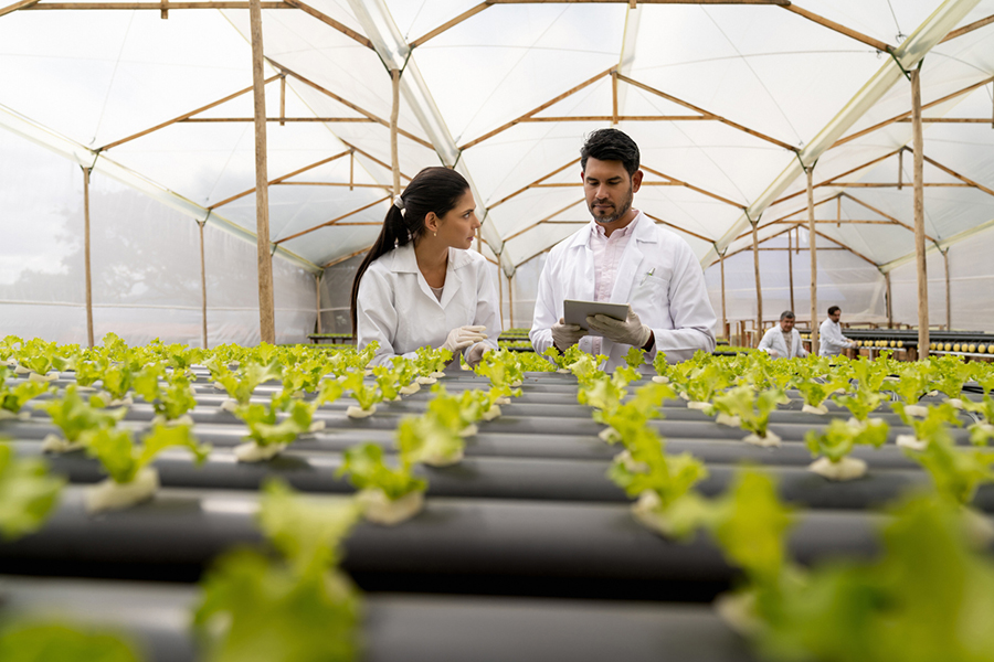 Image for Interest In Sustainable Investing In The UAE Is At An All-Time High