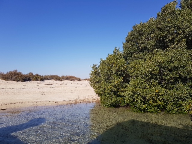 Image for Environment Agency – Abu Dhabi Launches Innovative Web Portal And Pioneering Digital Application For The Preservation Of Ancient Marine Names In Abu Dhabi