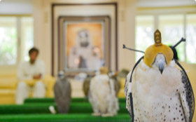 Image for Abu Dhabi Sustainability Group Announces Dates For The Annual Sustainable Business Leadership Forum 2021 ‘Transitioning To The Future Today’