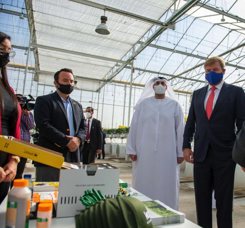 Image for King, Queen Of The Netherlands Visit High Tech Strawberry Farm In Al Ain