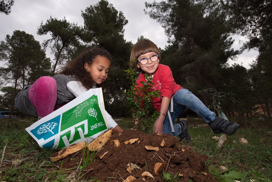 Image for UAE And Israel Youth Unite In The Fight Against Climate Change