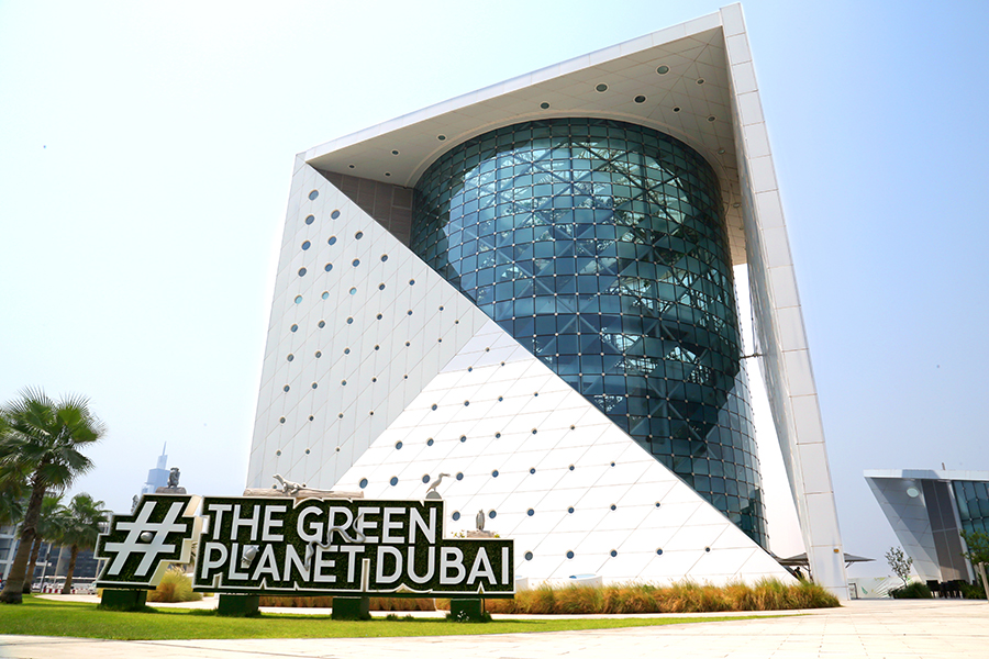 Image for School’s Out And Teens Are Welcome At The Green Planet For The Winter Break