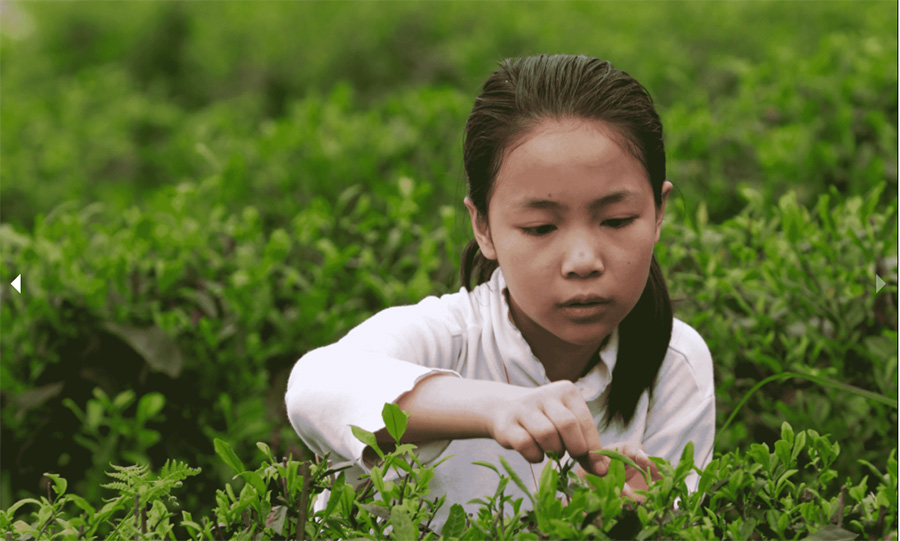 Image for Etihad Guest And Talabat Expand Partnership To Offset Carbon Emissions