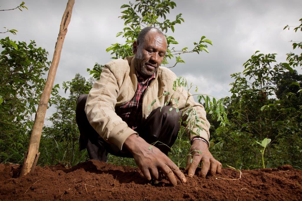 Image for Nespresso UAE Reinforces Its Sustainability Efforts At The Food For Future Summit In Dubai