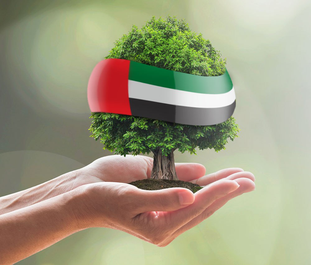 Image for UAE Celebrates National Environment Day