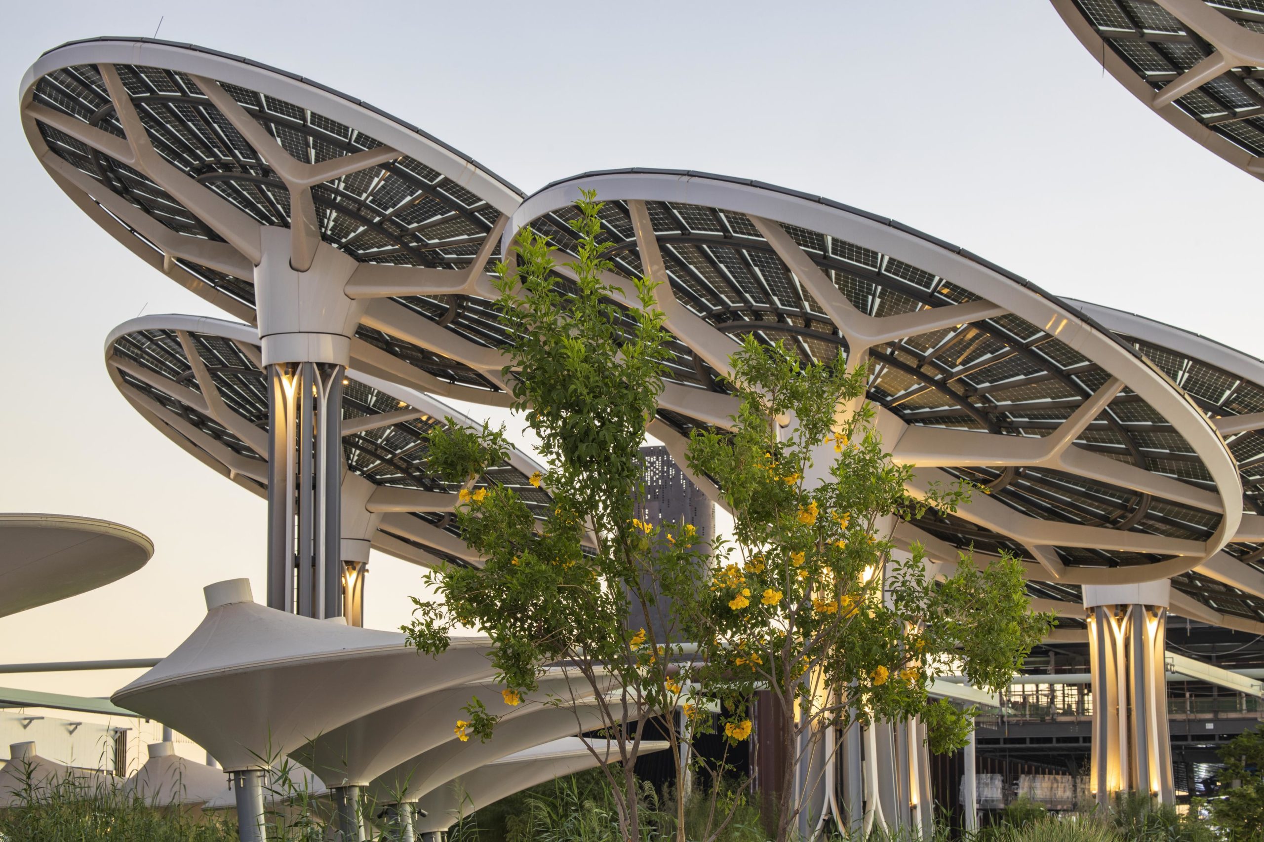 Image for One Million Visitors To Expo 2020 Dubai’s Terra, 95 Percent Pledge To Make Sustainable Change